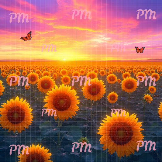 Sunrise Sunflower Meadow: Paint-by-Number Collection (24/36/48 colors | No Frame)